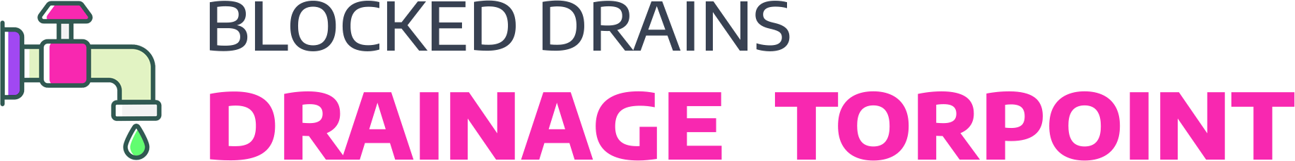 website logo